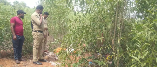 Decomposed body